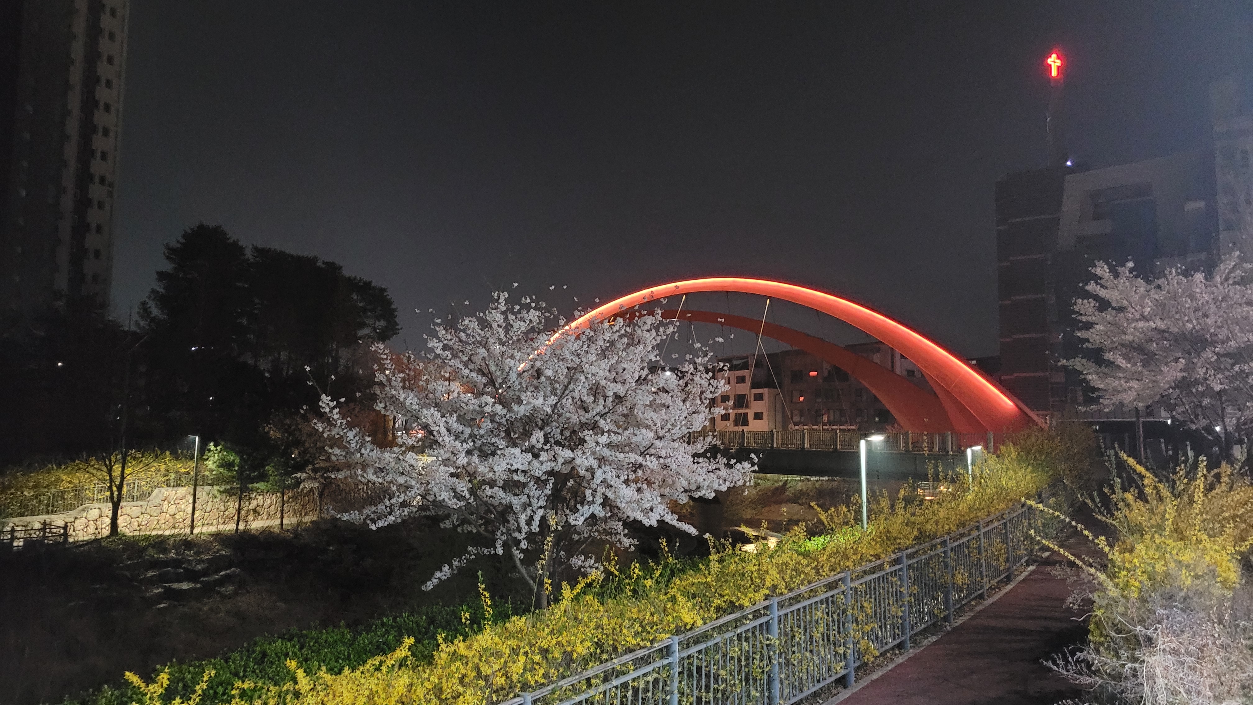 20230401_042520.jpg